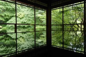 shrine20230525-3466-1dd1j9p