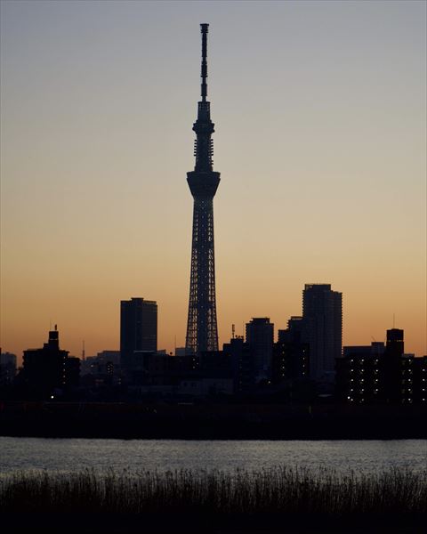 東京スカイツリーの穴場おすすめ撮影スポット8選！ - 日本の観光情報メディア