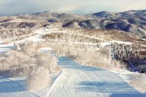 dji_0102_r