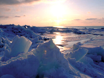 p_doto_003