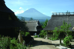 shrine20220913-3465-9bfypn