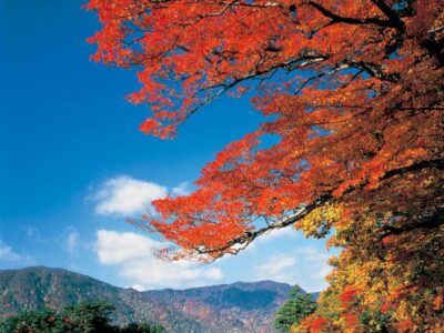 towada