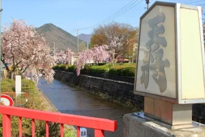 shrine20230202-3547-s296rq