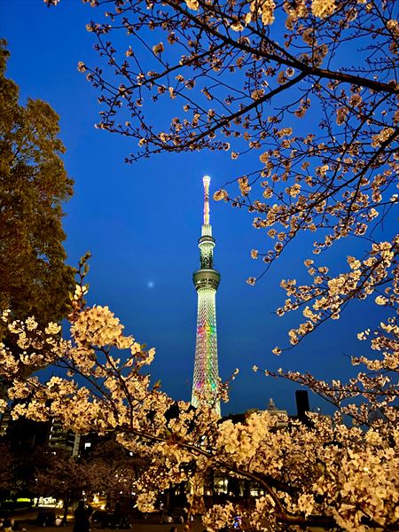 東京スカイツリー®を攻略：見どころ、アクセスなどをご紹介 - 日本の観光情報メディア