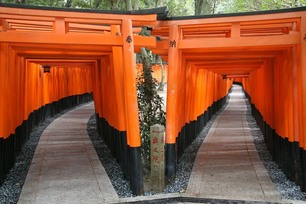 Discover the Allure of Kyoto Tourism! From Beginner-Friendly Tips to ...