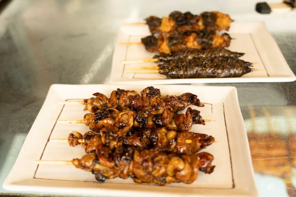 鰻魚川龜的鰻魚串