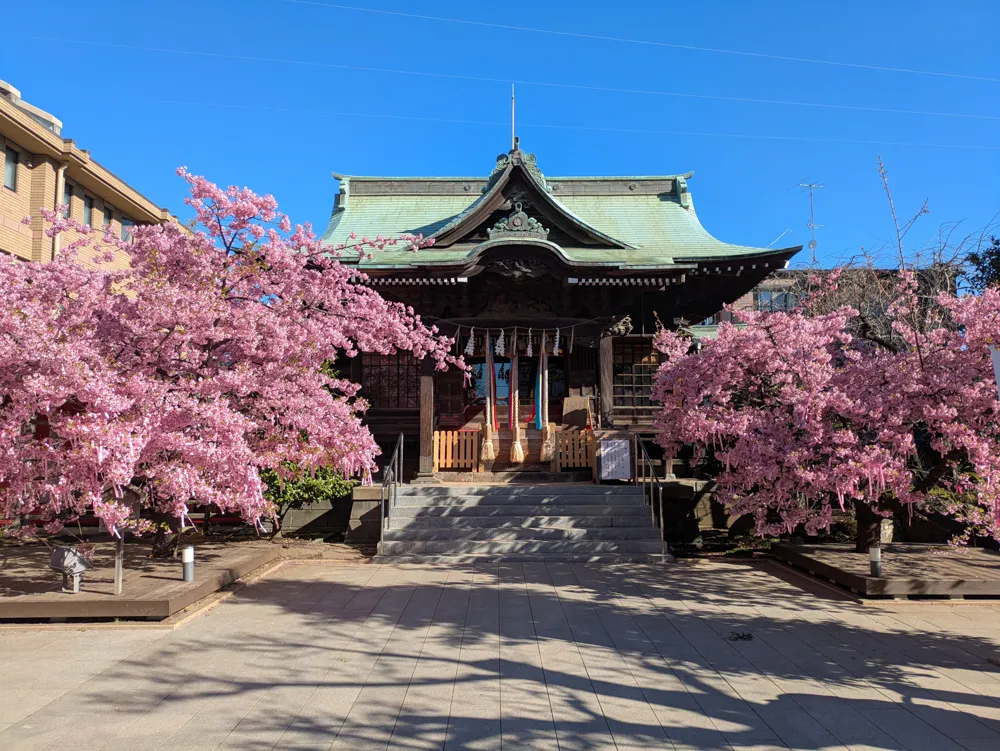 桜神宮