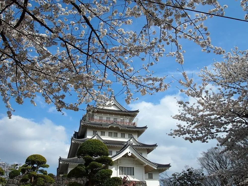 郷土博物館と桜