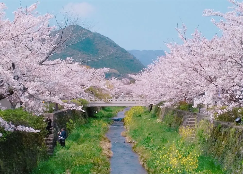 一之坂川