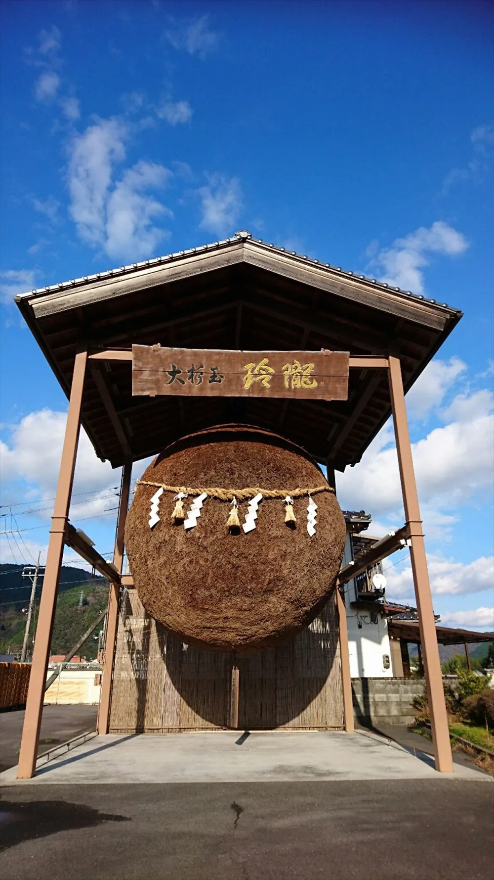 杉玉